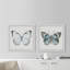 «Lovely Butterflies», ensemble de 2 reproductions d'art sur papier encadrées-1604505911