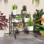 3-Tier Metal Plant Stand Ladder Shelf for Indoor Outdoor Black