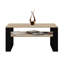 Jrake Sled Coffee Table with Storage-1978244508-2003925818