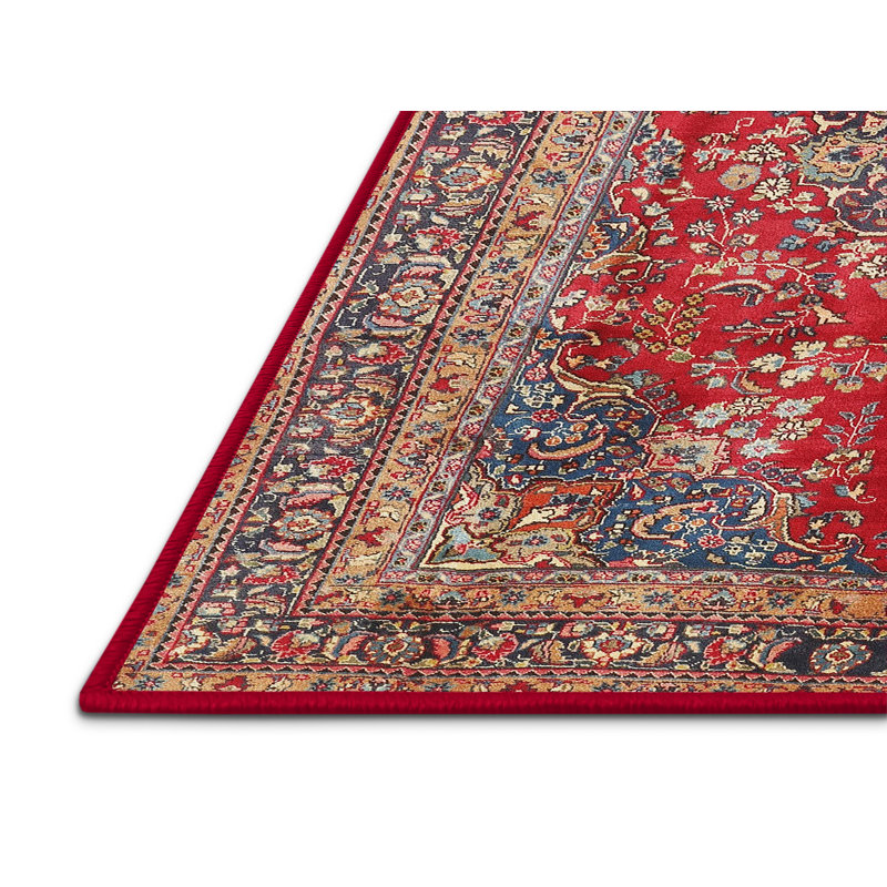 Oriental Indoor Rug, Rectangle 4' x 6'