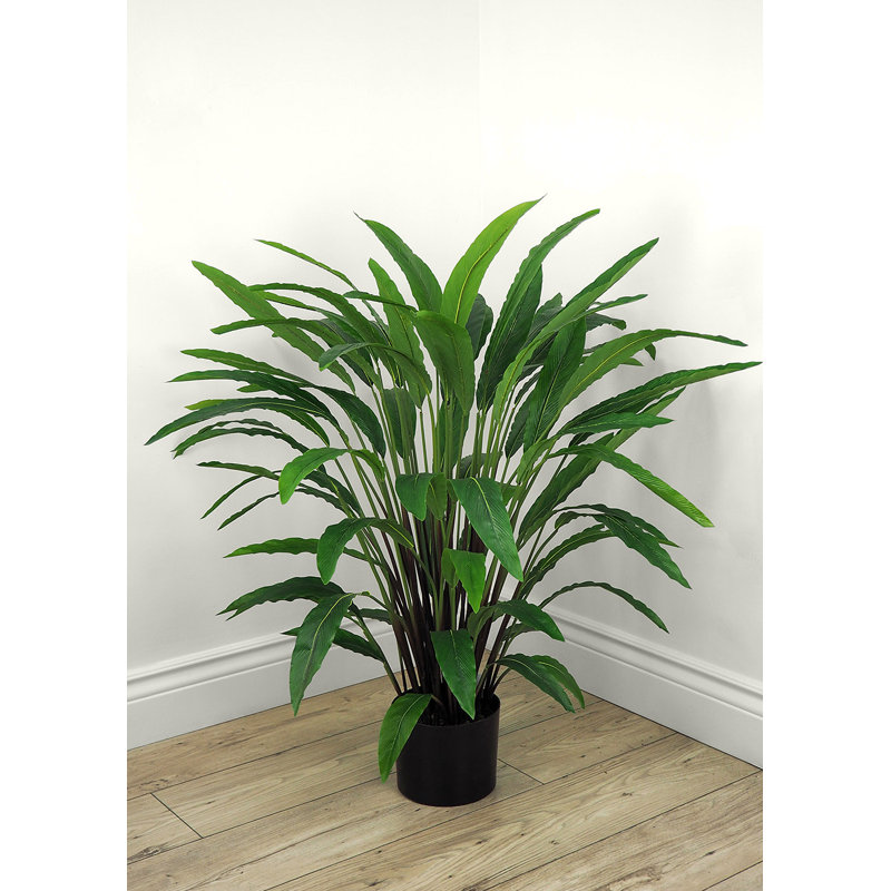 Faux calathea botanique au fini vert, H 39 po x l 28 po x P 28 po