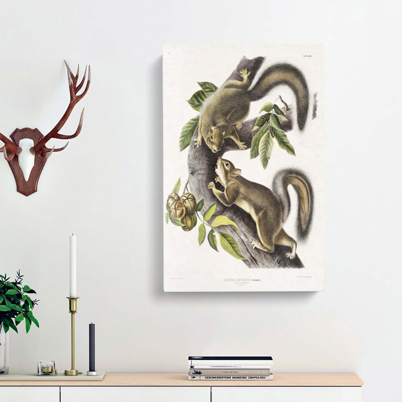 Hare Squirrels by J.W. Audubon - Wrapped Canvas Painting, 50cm H x 35cm W x 3cm D