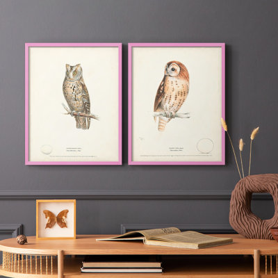 Scops Eared Owl - reproduction encadrée de qualité supérieure - prête à être accrochée - aucun clou requis - aucun clou requis