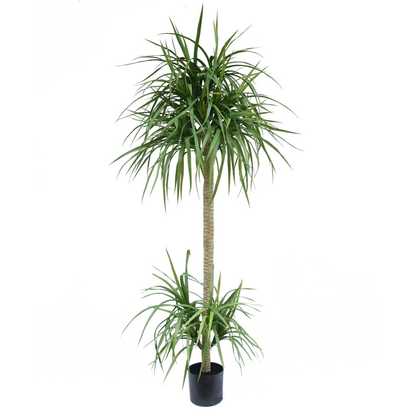 Annitte Faux Palm Tree in Pot Liner, 180cm H x 60cm W x 60cm D