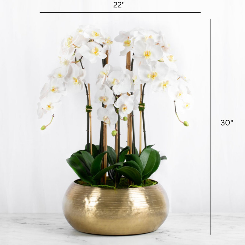 Large Orchid Floral Arrangement in Vase