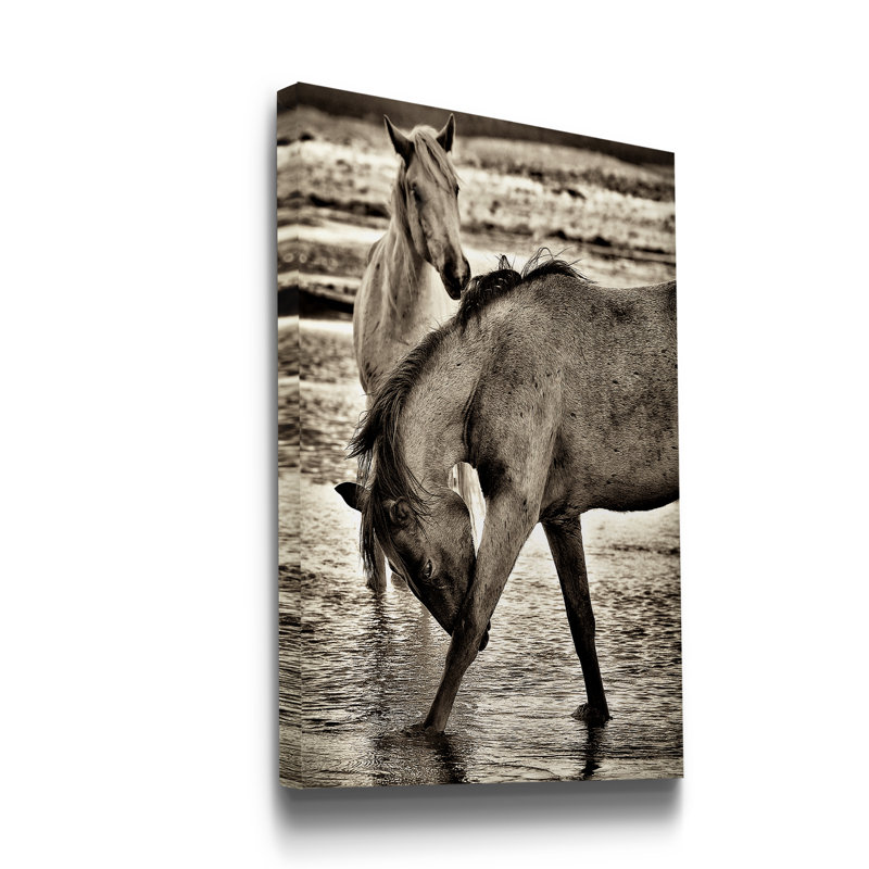 « Beach Horses I », reproduction de photo sur toile tendue, H 48 po x l 32 po x P 1 po