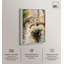 Décoration murale en toile Sunlit Canal par Art Remedy, cadre blanc, 20 x 30-654835999-654836004