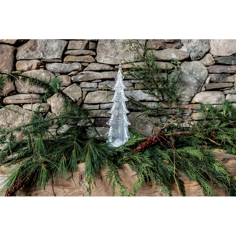 Silver Leaf Evergreen, 8 inch