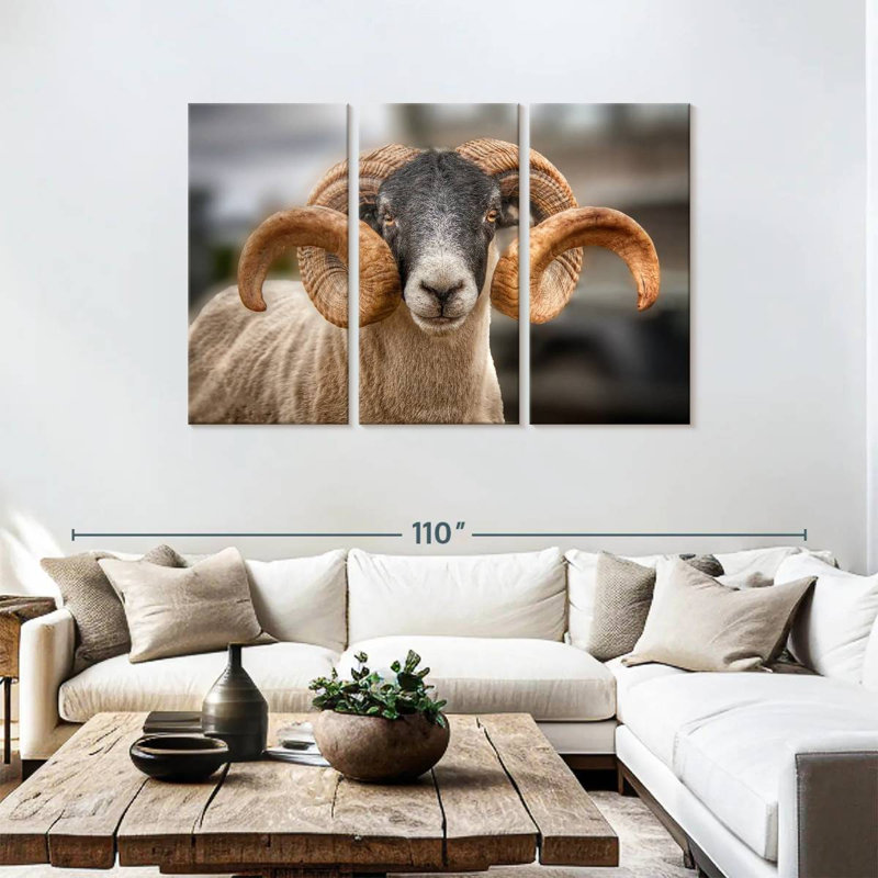 Brampt Scottish Blackface Ram, 48" H x 74" W