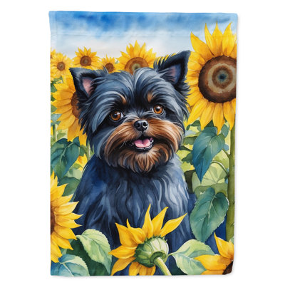 Drapeau de la maison du tournesol Malamute d'Alaska