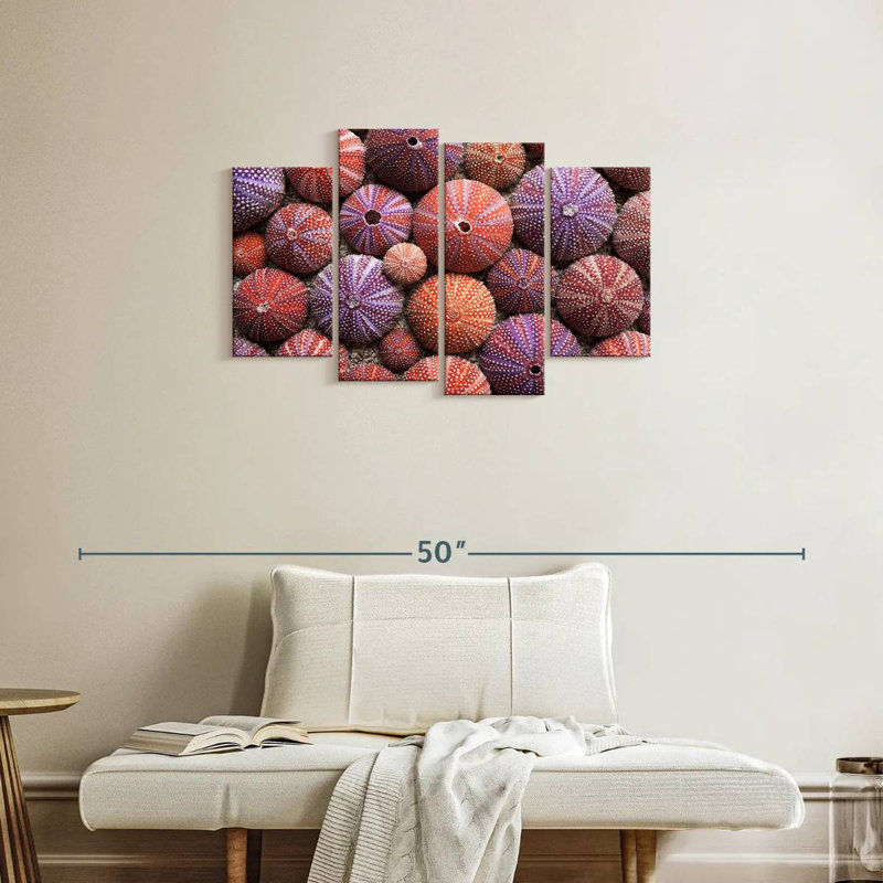 Brampt Empty Sea Urchin Shells, 22" H x 36" W