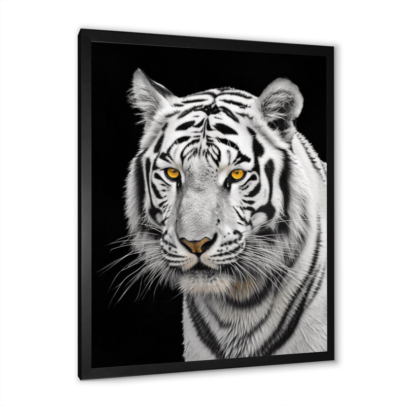 Tigre blanc féroce V - animaux, art mural sur toile, H 32 po x l 16 po x P 1 po, Cadre simple noir