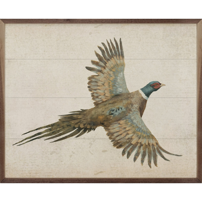Pheasant, 16" H x 20" W