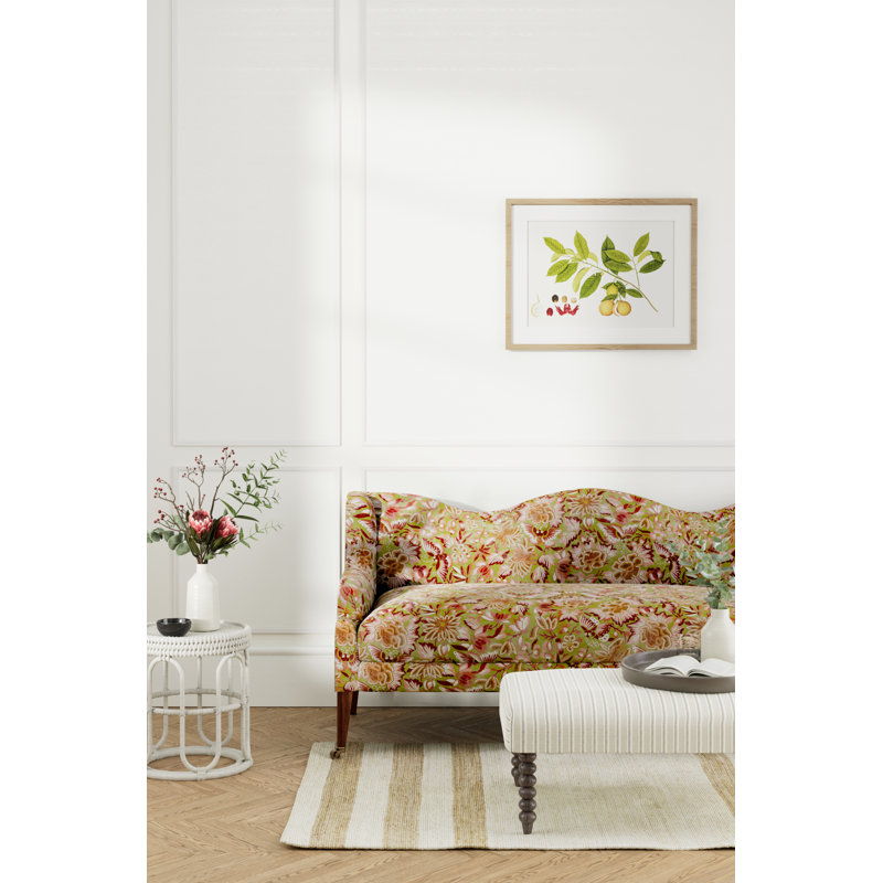 Amara Butterfly Fabric, Olive/Lotus Pink