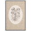 Œuvre d'art botanique rétro vintage, images de chambre à coucher, impression sur toile encadrée-126031870-126031872