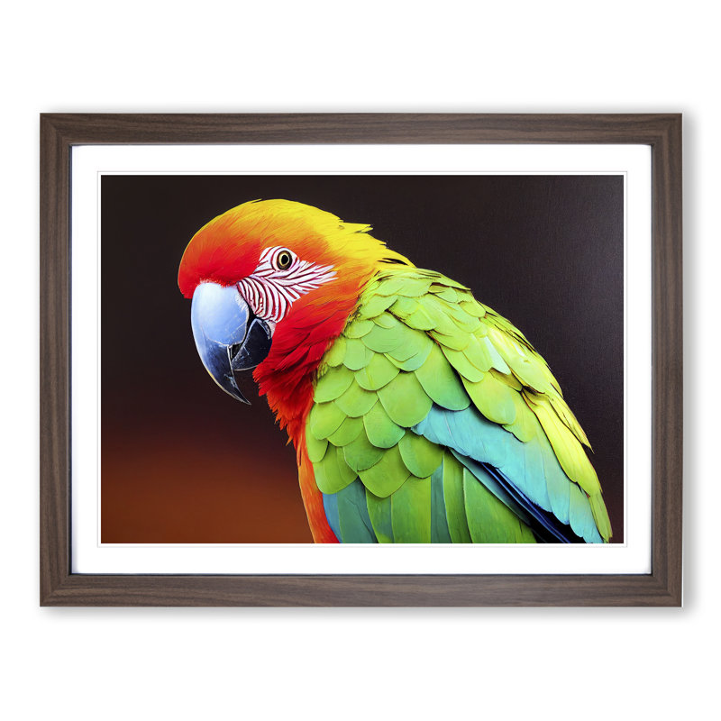 XH1022-6794X Parrot Portrait Vol.3 - Single Picture Frame Print, 34cm H x 46cm W x 2cm D, Walnut