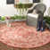 Danya Red/Cream Indoor/Outdoor Area Rug