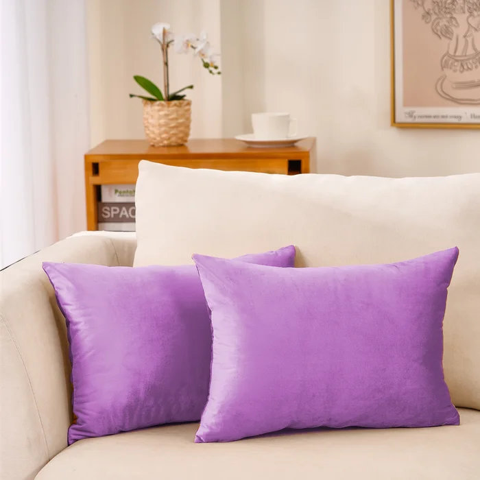 Ensemble de 2 housses de coussin en velours, Violet, Non