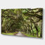Live Oak Tunnel - Imprimé-1557090530-1597033605