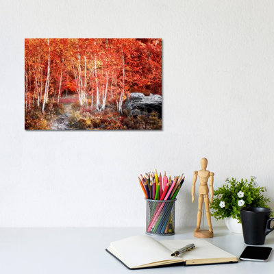 Birches Garden by Philippe Sainte-Laudy - Print on Canvas