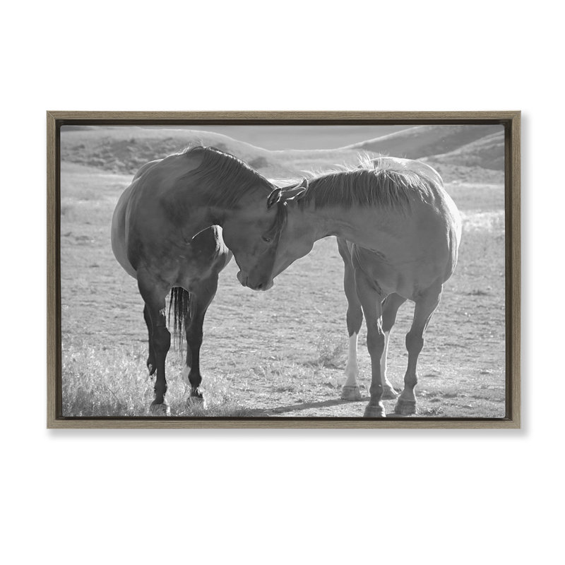 Cadre flottant Sweet Nothings Bond entre les chevaux, design par Steve Toole, Montalcino orme flottant encadré