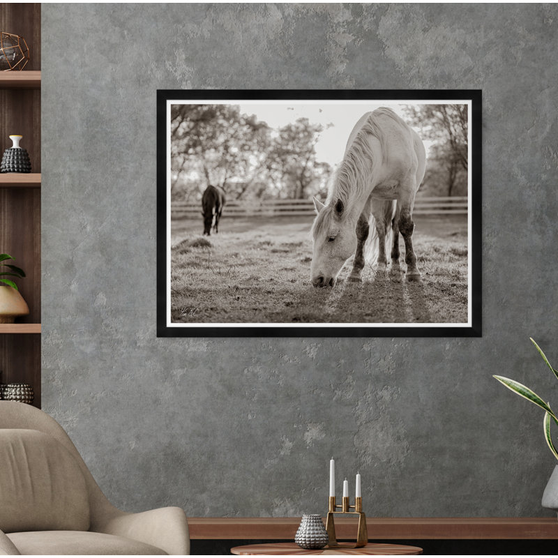 Grazing III Print by Tim Klein