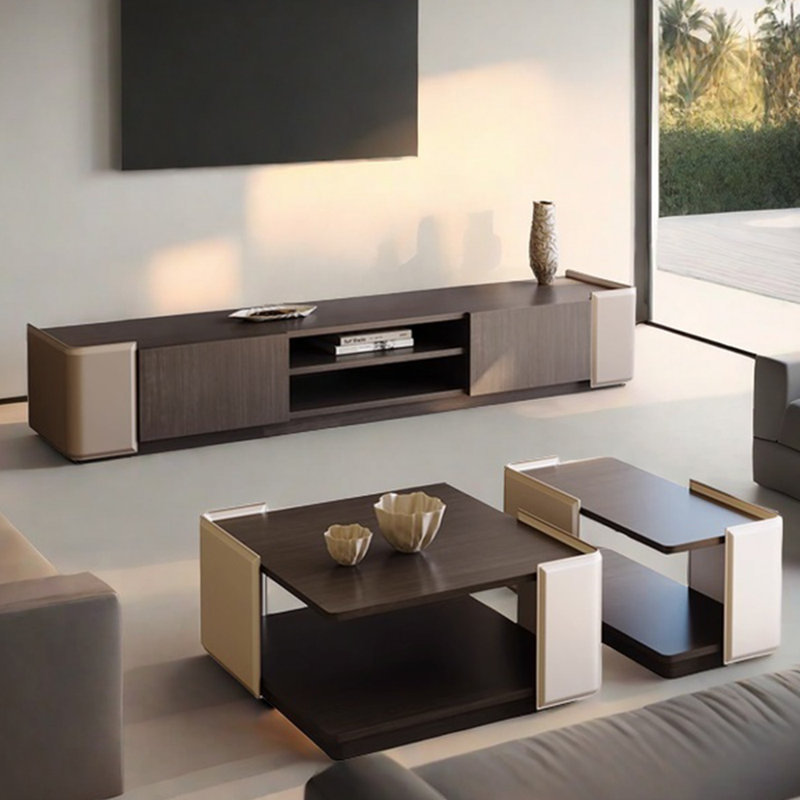 Combinaison meuble télé minimaliste et table basse
