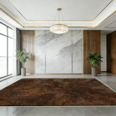 Brown Bedroom Area Rug: Ultra Fluffy Non-Slip Floor Carpet for Bedroom Living Room Nursery Playroom, Soft Shaggy Rug Home Decor (Brown)