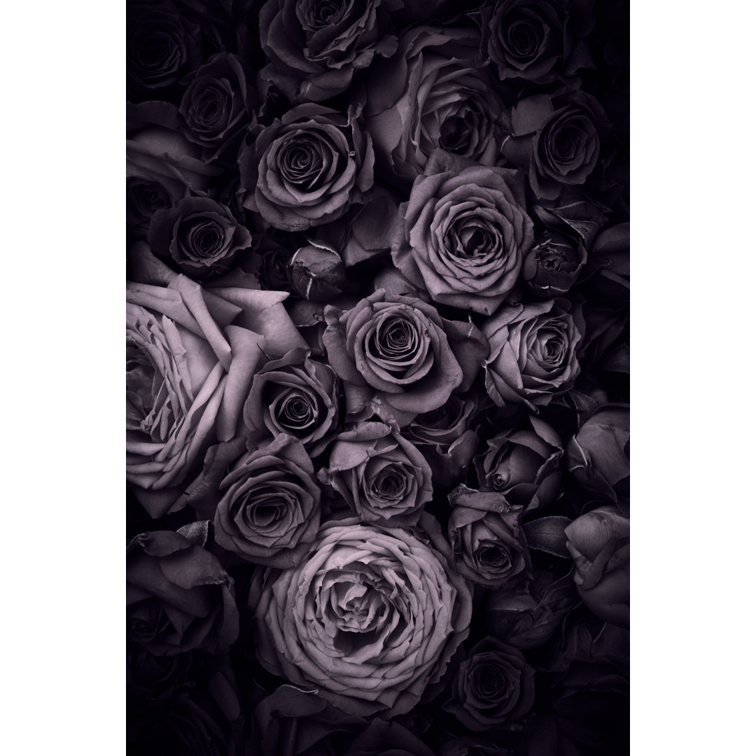 Leinwandbild Vintage Roses Background