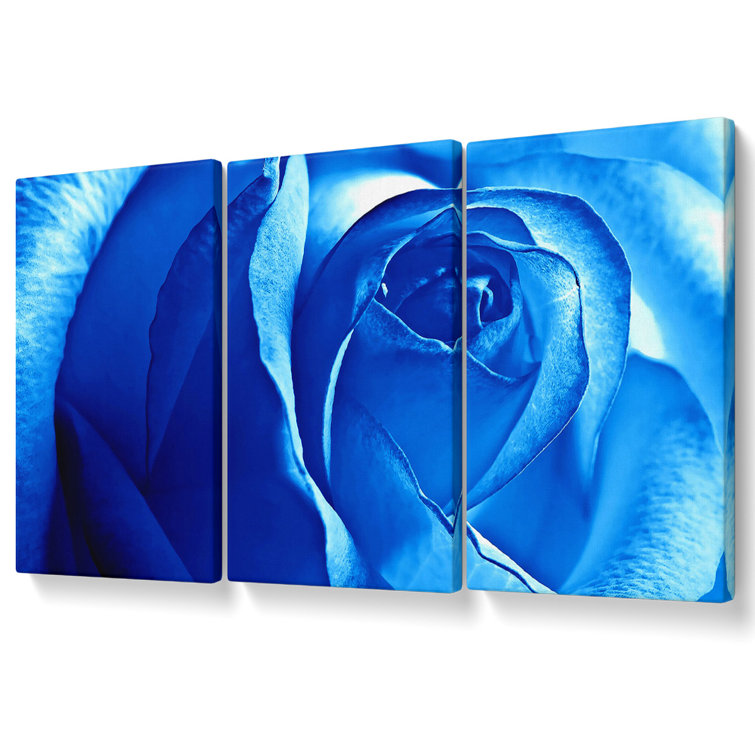 Canora Grey Blue Rose - 3 Piece Wrapped Canvas Graphic Art | Wayfair.co.uk