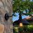 Ellesef Wall Light-1371262569