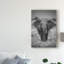 « singularité éléphant », reproduction de photo sur toile tendue-2073292377
