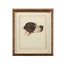 Danchin Pointer Print
