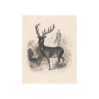 Antique Antlers " Antique Antlers II "