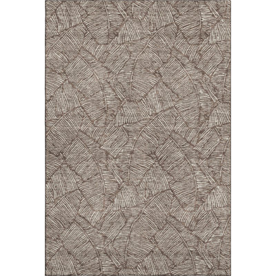 Premium Machine Washable Prisco Brown Rug