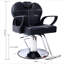 Fauteuil de coiffeur tout usage pour coiffeur pour salon de coiffure, fauteuil de coiffeur hydraulique robuste pour spa-625749636