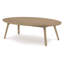 Catalina Solid Wood Coffee Table-22266196-48982877