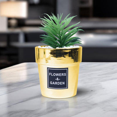 5.5 " H Faux Succulent in Ceramic Decorative Vase
