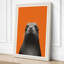 Seal Portrait Modern 1 Piece Wrapped Canvas Wall Art-888855712-888855740