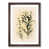 Walnut Framed
