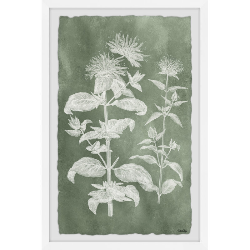Sage Impressions III by Marmont Hill - Single Picture Frame Painting, 20cm H x 30cm W