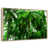 Cadre flottant en bois naturel