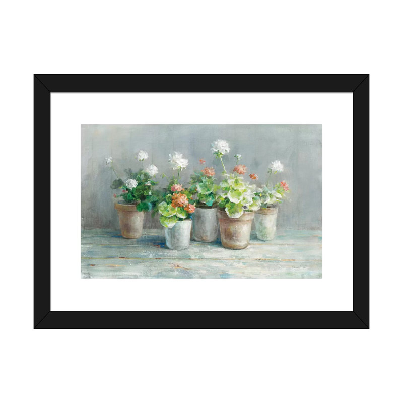 «Farmhouse Geraniums» par Danhui Nai - reproduction, Papier encadré noir, Blanc, H 16 po x l 24 po x P 1 po