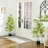 Faux Bamboo Tree in Cement Pot-1583110483