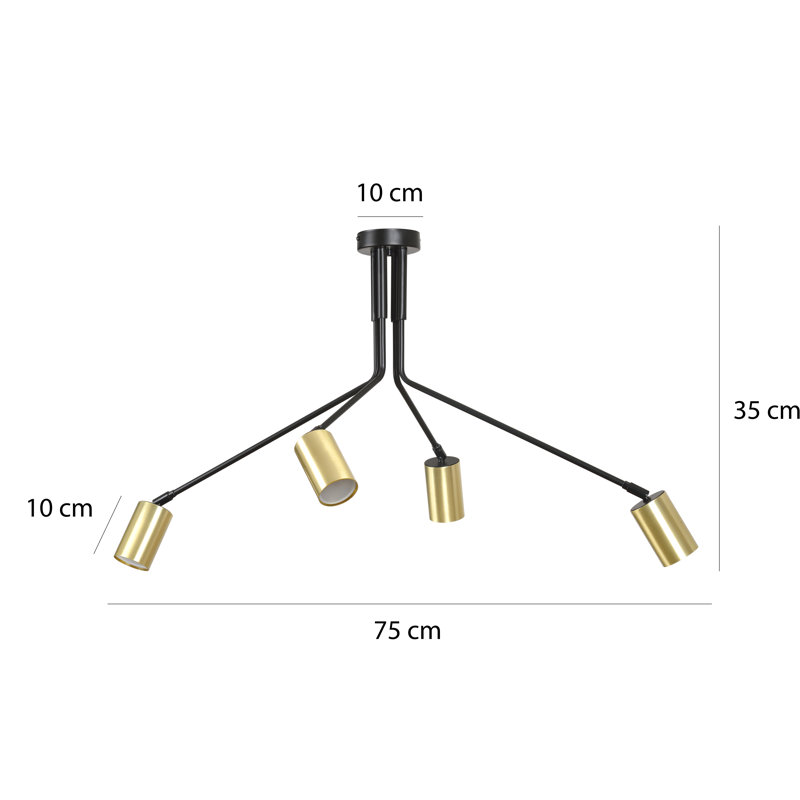 Ciccone Spotlight, Black