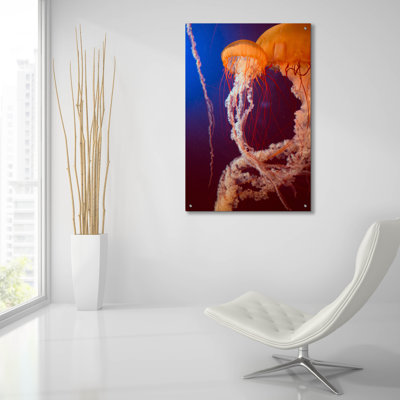 " Jelly 3 " by PhotoINC Studio