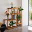 Plant Stand - Set of 5