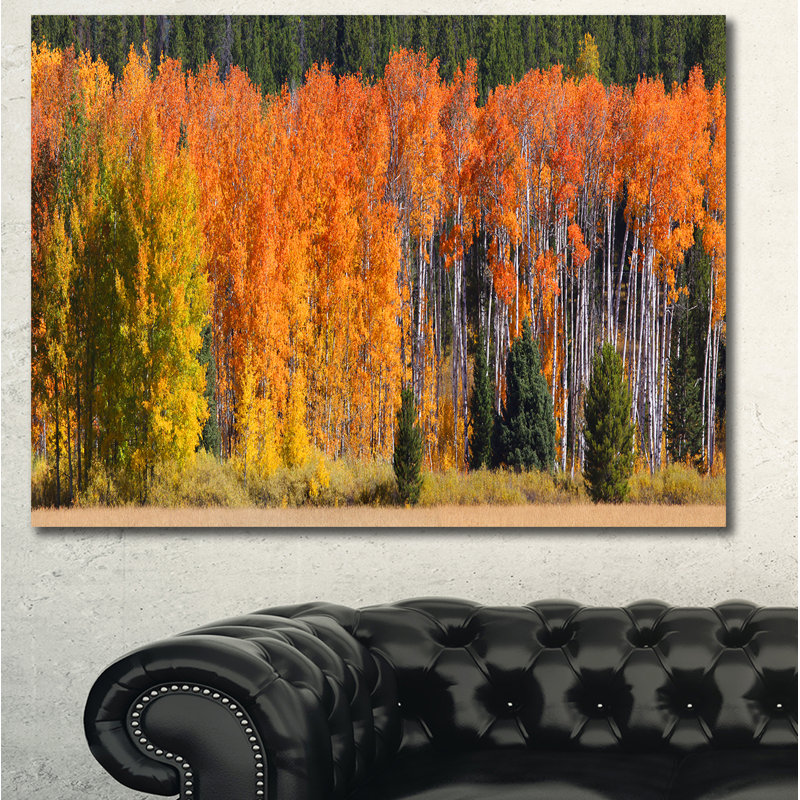 «Fall Trees Panorama», reproduction de photo sur toile tendue, H 30 po x l 40 po x P 1 po