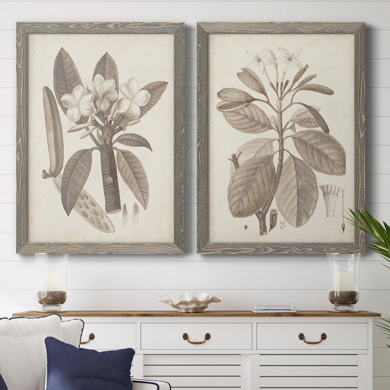 Antique sépia botanics VIIP, toile encadrée de qualité supérieure - prête à être accrochée, H 43,5 po x l 31,5 po x P 1 po