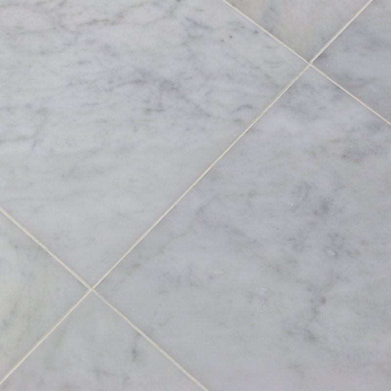 Carrara 12" x 12" Marble Marble Look Wall & Floor Tile